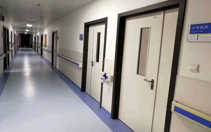 CPL碳晶木門 平開門 套裝門 隔音木門 環保木門 凈醛木門 木門 無甲醛 安全放心防火防水